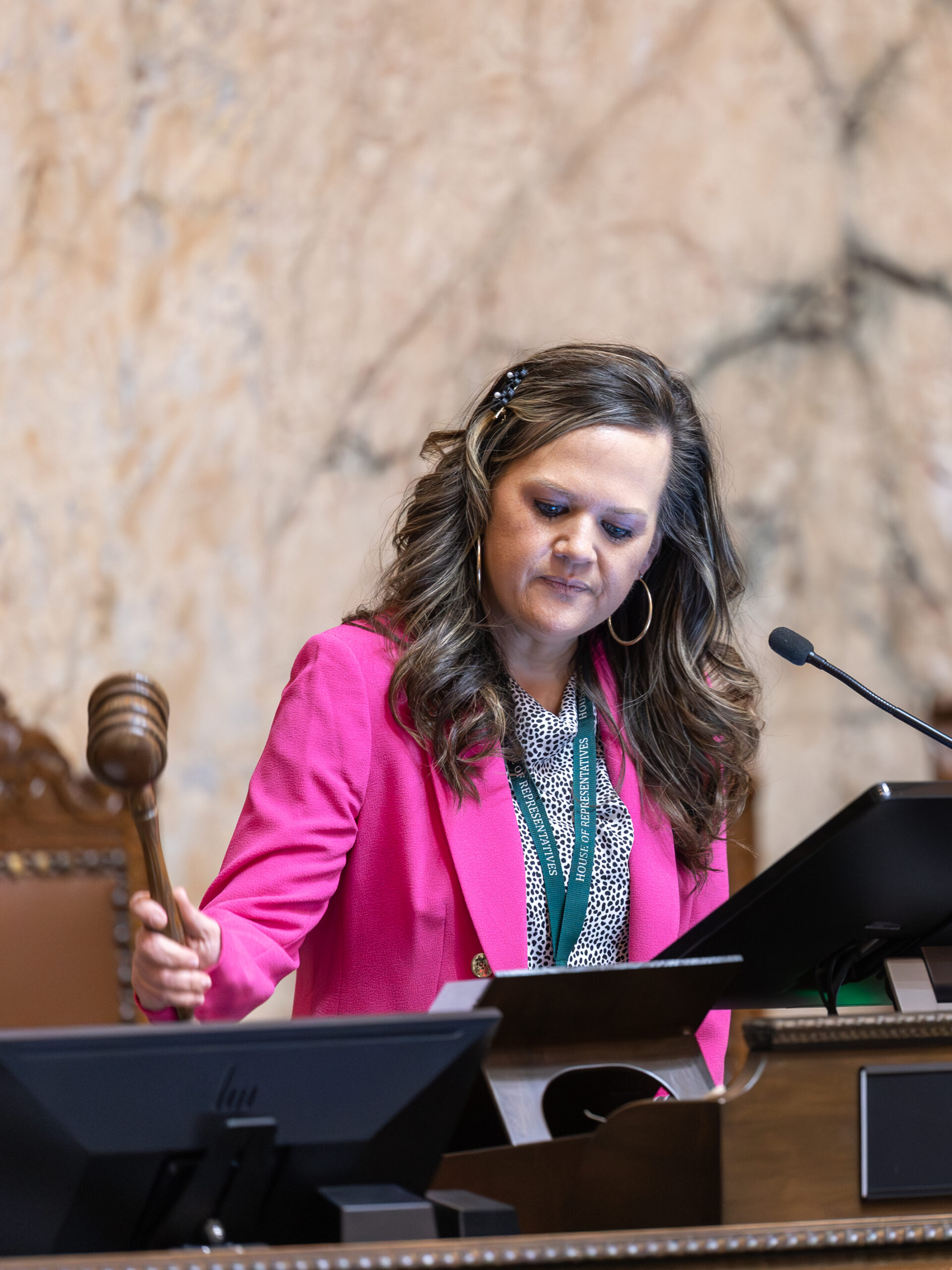 Tarra Simmons in action as State Representative